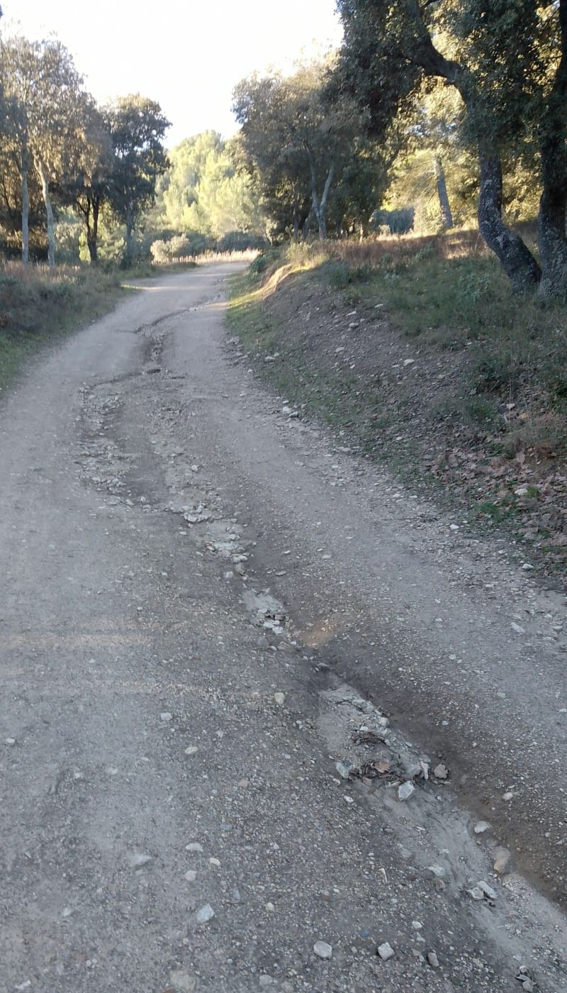 Les chemins et sentiers de Calés - Lamanon