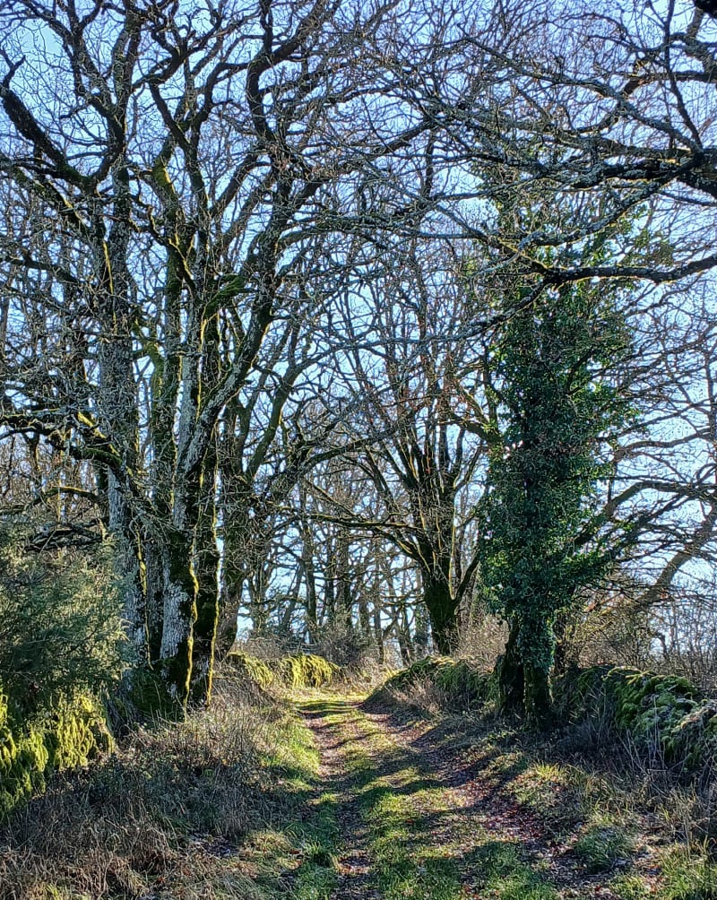 Sentier du Causse Reilhac - Lunegarde - Reilhac