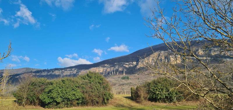 Balade de la Vallée Bleue à  l'île de la Serre - Montalieu-Vercieu