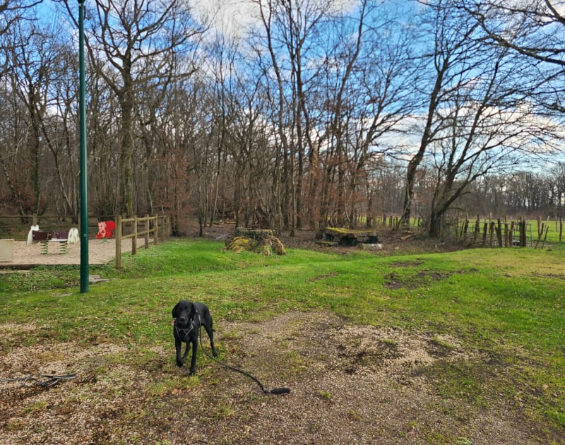 Promenade dans les champs de Goux - Dole