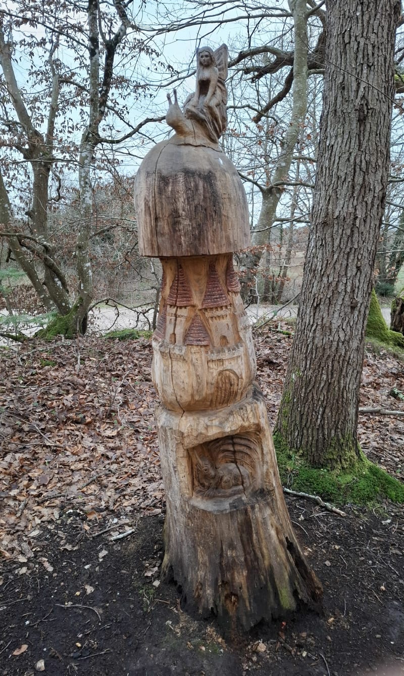 Balade forêt de Paucourt - Paucourt