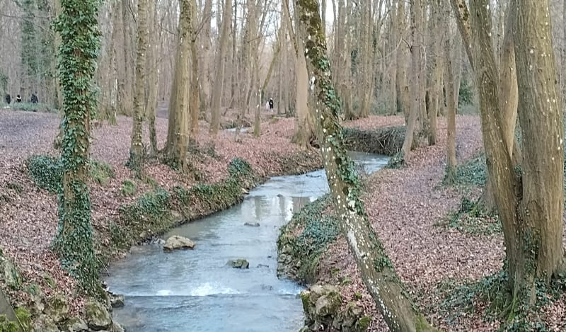 Bois des Templiers - Épinay sur orge - Épinay-sur-Orge