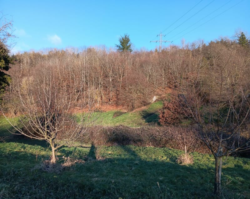 Parc de Pinelon - Saint-Étienne