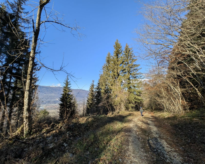 Boucle Ruffieux / Mont Clergeon - Ruffieux