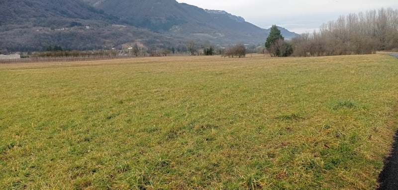 Balade le long des digues de l'Isère - La Terrasse