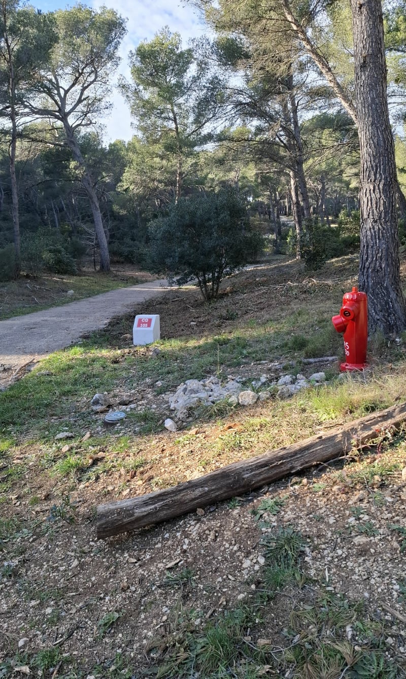 Luminy-Redon-Baumette, la petite boucle forestière - Marseille