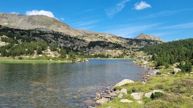 Randonnée lacs Pyrénées-Orientales : vue sur un lac de montagne des Pyrénées, entouré de prairies et de forêts