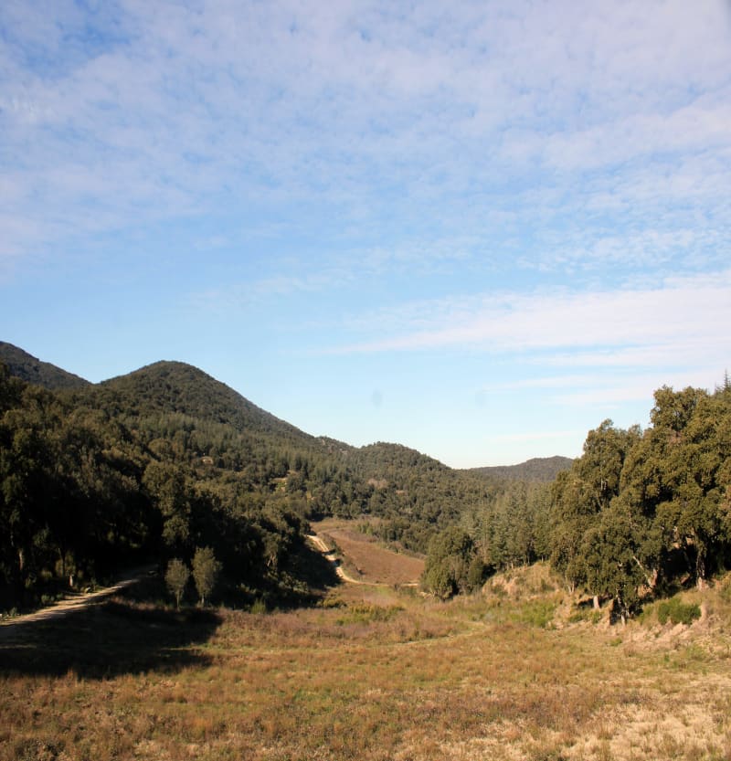 Balade au col Panissar - Le Perthus
