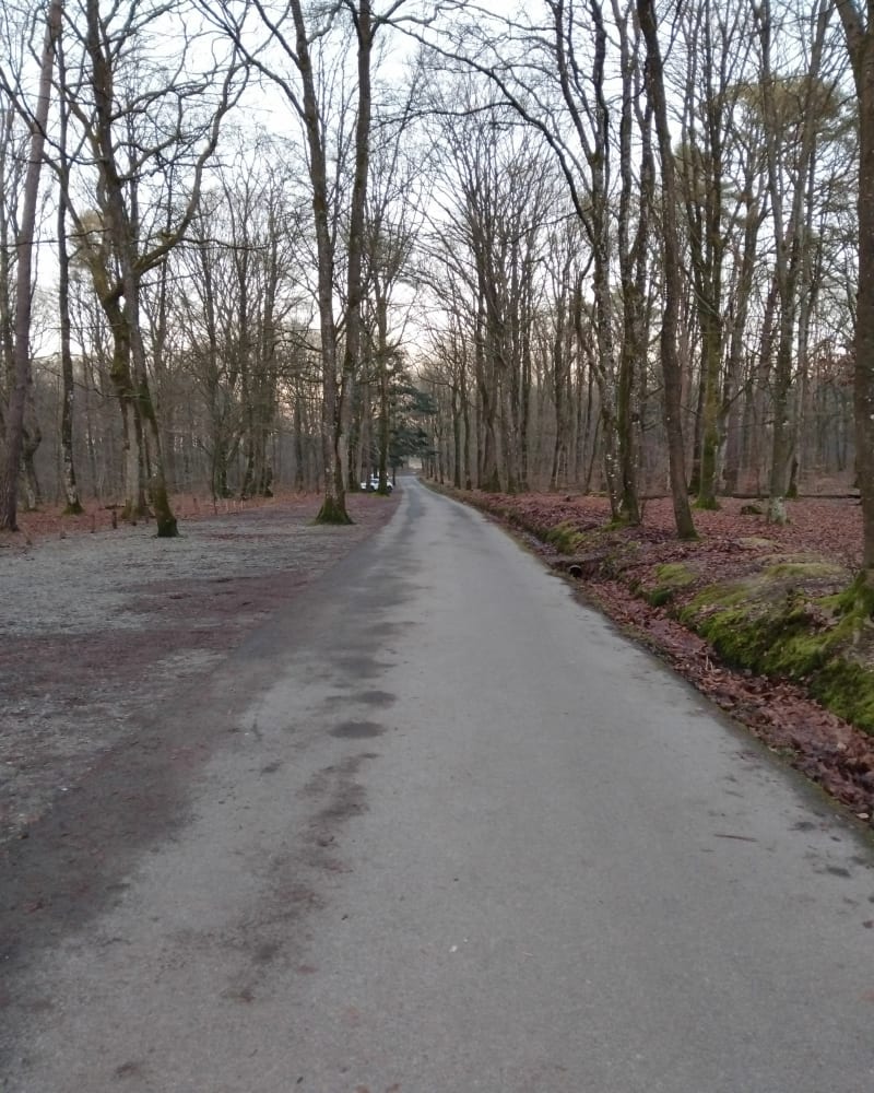 Balade dans le bois de l'huisserie - Laval