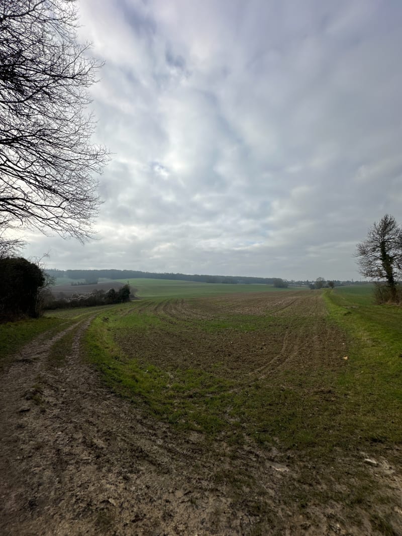 Balade tranquille autour des champs de Frépillon - Frépillon
