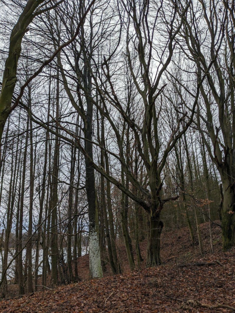 Hike wokół jezior Babiniec i Oczko - Grzybowo