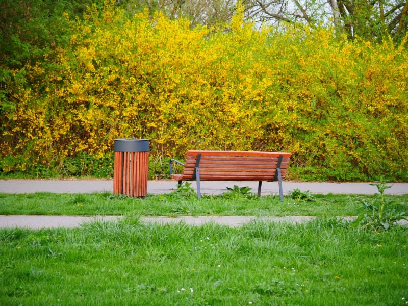 Spacer po ok. Olbrachta i 3 kółka po parku Szymańskiego - Warszawa