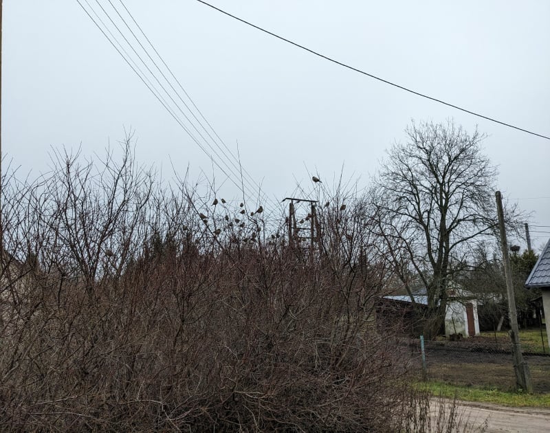 Wędrówka w Sobączu i okolice - Sobącz