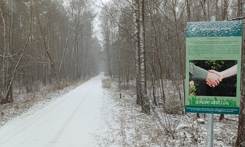 Las Pietrasze - Białystok