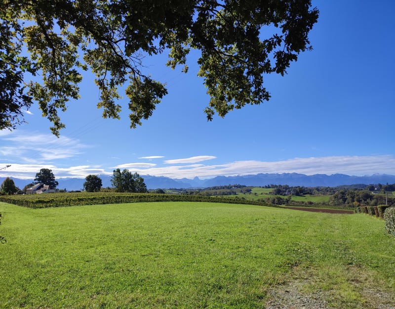 Coteaux de Jurançon - Pau