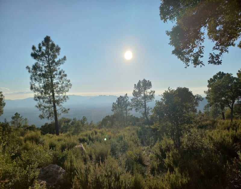Tour du rocher de Bayonne - Bagnols-en-Forêt