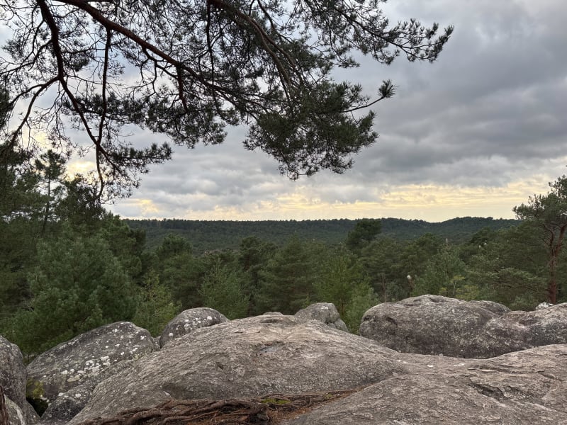 Caverne des brigands et chênes de Lantara - Fontainebleau