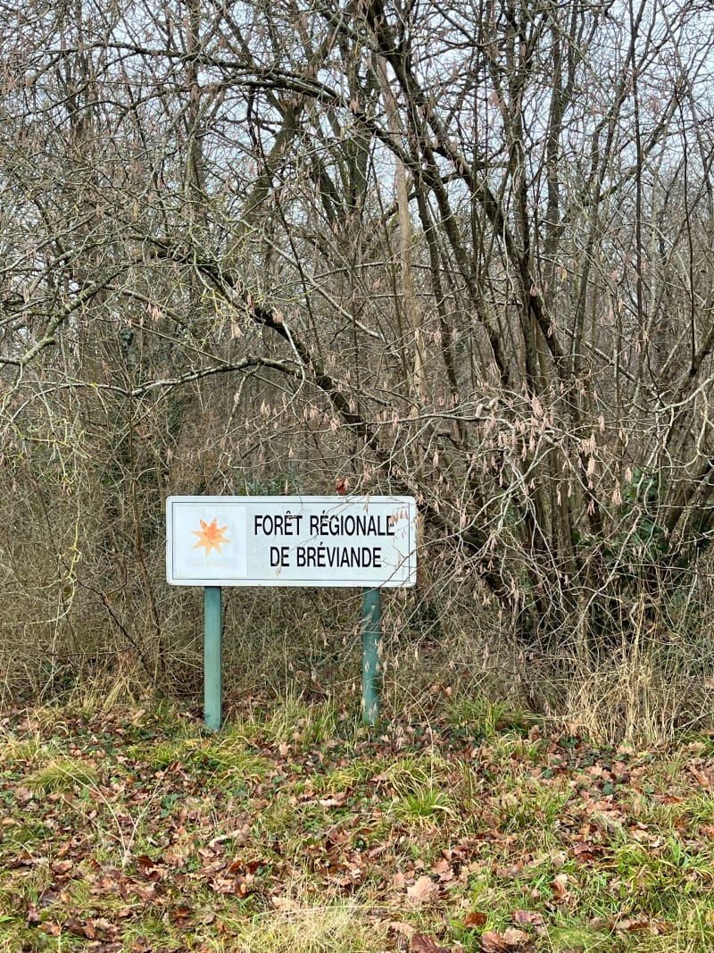 Balade dans la forêt de Bréviande - Le Mée-sur-Seine