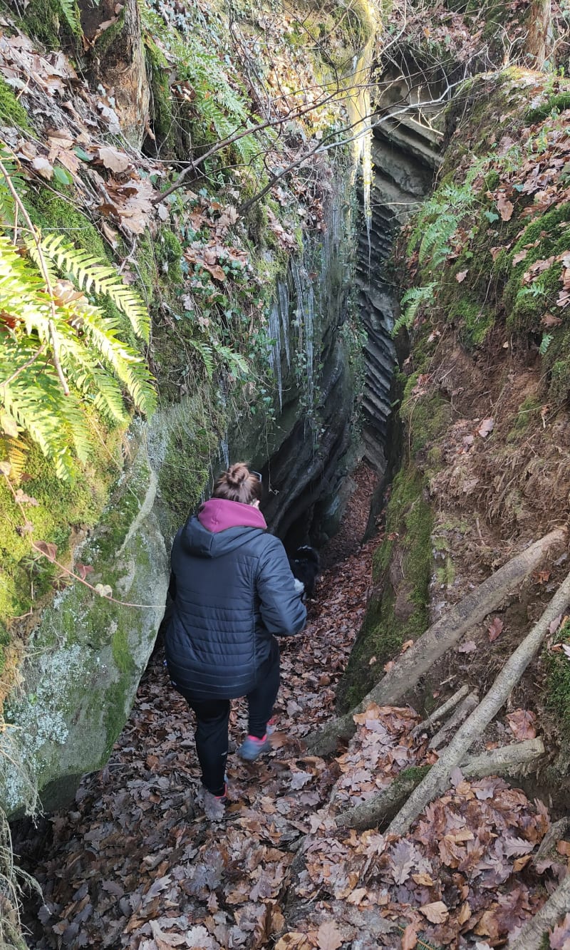 Balade à Saint Sylvestre - Saint-Sylvestre