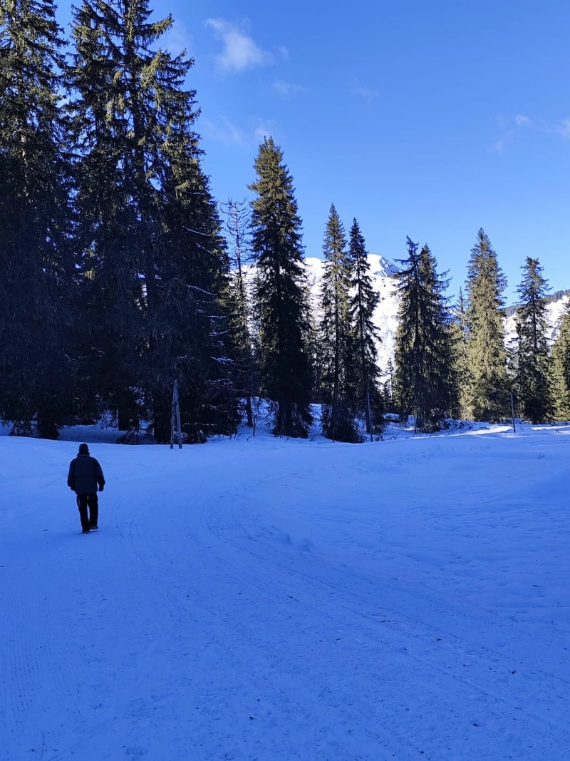 Avoriaz au village des Lindarets en hiver - Morzine