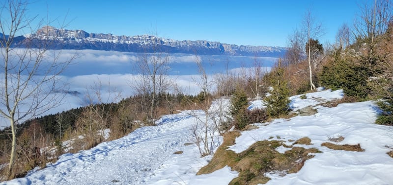 Colonie du pré de l'Arc - Les Adrets