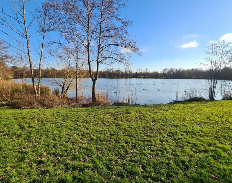 Autour de l'étang de Saint Gilles - Saint-Gilles