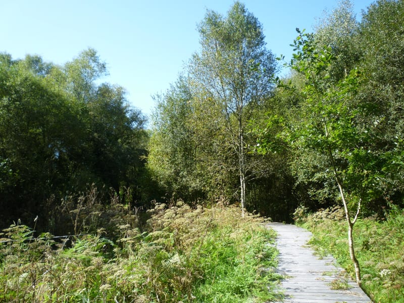 Calan Circuit du Lec'h - Calan