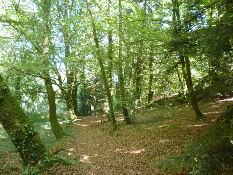 Calan Boucle vélo 17,8 km - Calan