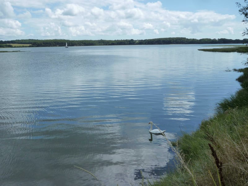 De Lorient à Locmiquélic - Les estuaires - Lorient