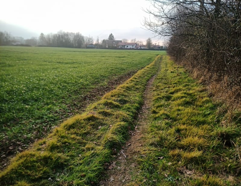 Tour du village de Saint-Denis - Saint-Denis-lès-Bourg