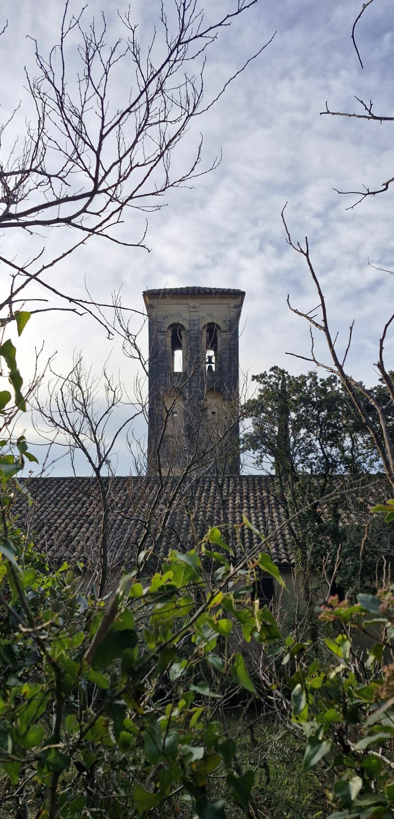 Gargamianne à Notre Dame d'Aubune - Aubignan