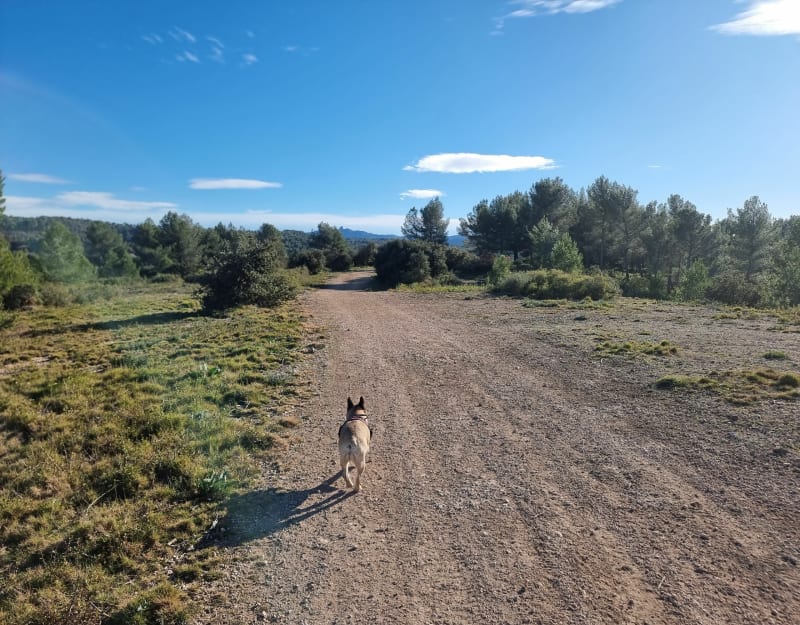 Petite balade  dans les hauteurs de Bouc Bel Air - Bouc-Bel-Air