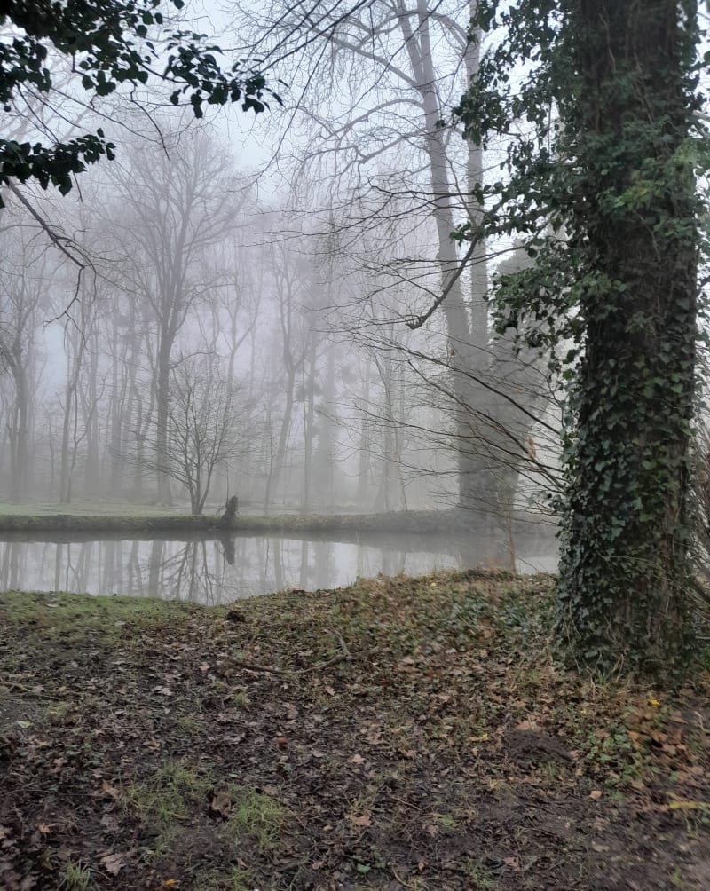 Boucle Maisse- Gironville - Maisse
