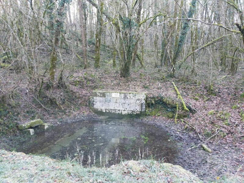 Vers la Fontaine de Fonfaye et les Brebions - Brie