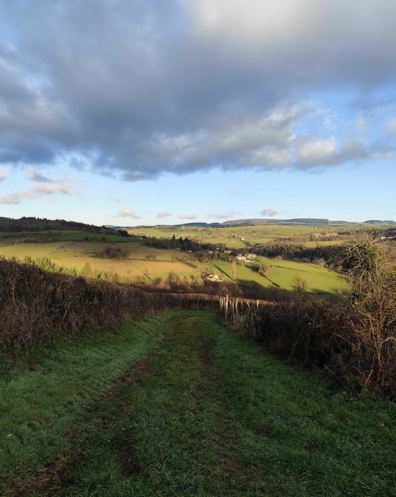 Campagne de Saint-Just-la-Pendue - Saint-Just-la-Pendue