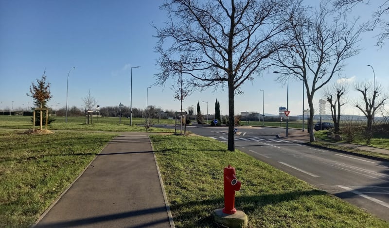 Bois de Ternay - Corbas