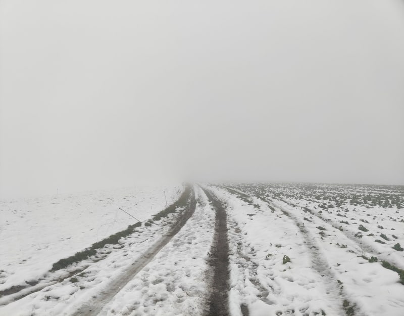 Balade hivernale à Louches - Landrethun-lès-Ardres
