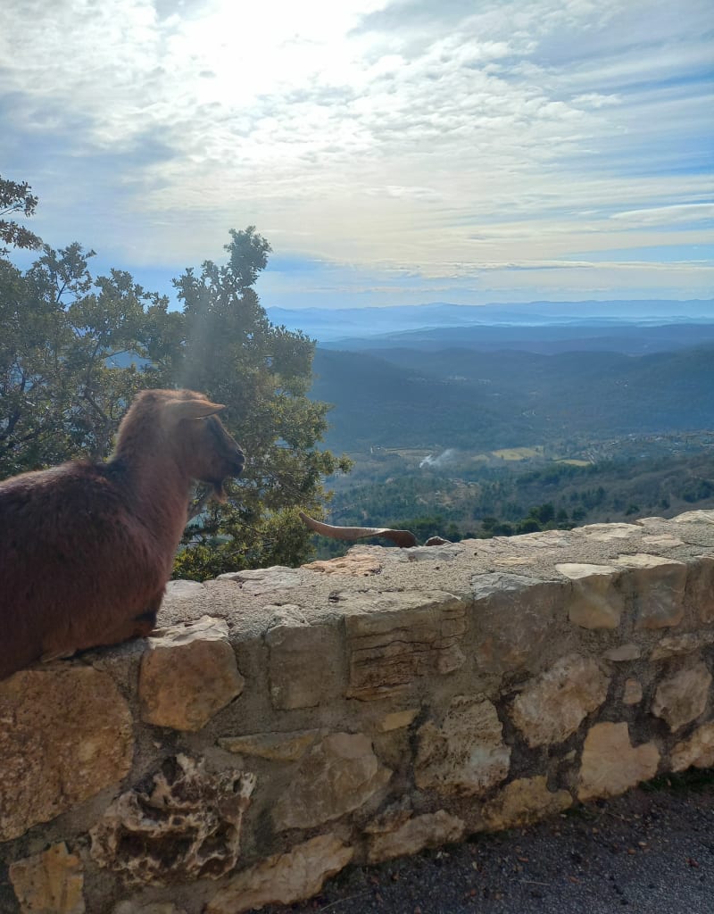 Boucle vélo dans le haut Var - Bargemon