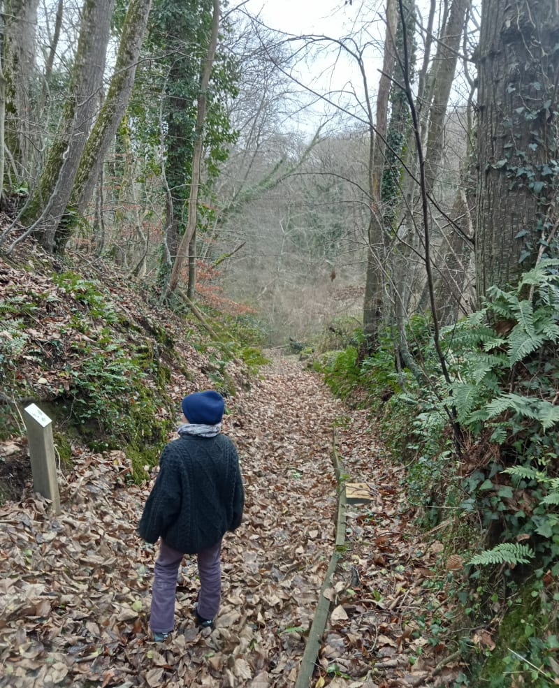 Petite boucle du sentier botanique - Plourivo
