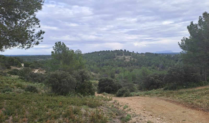 Le vallon de Maurel - La Barben