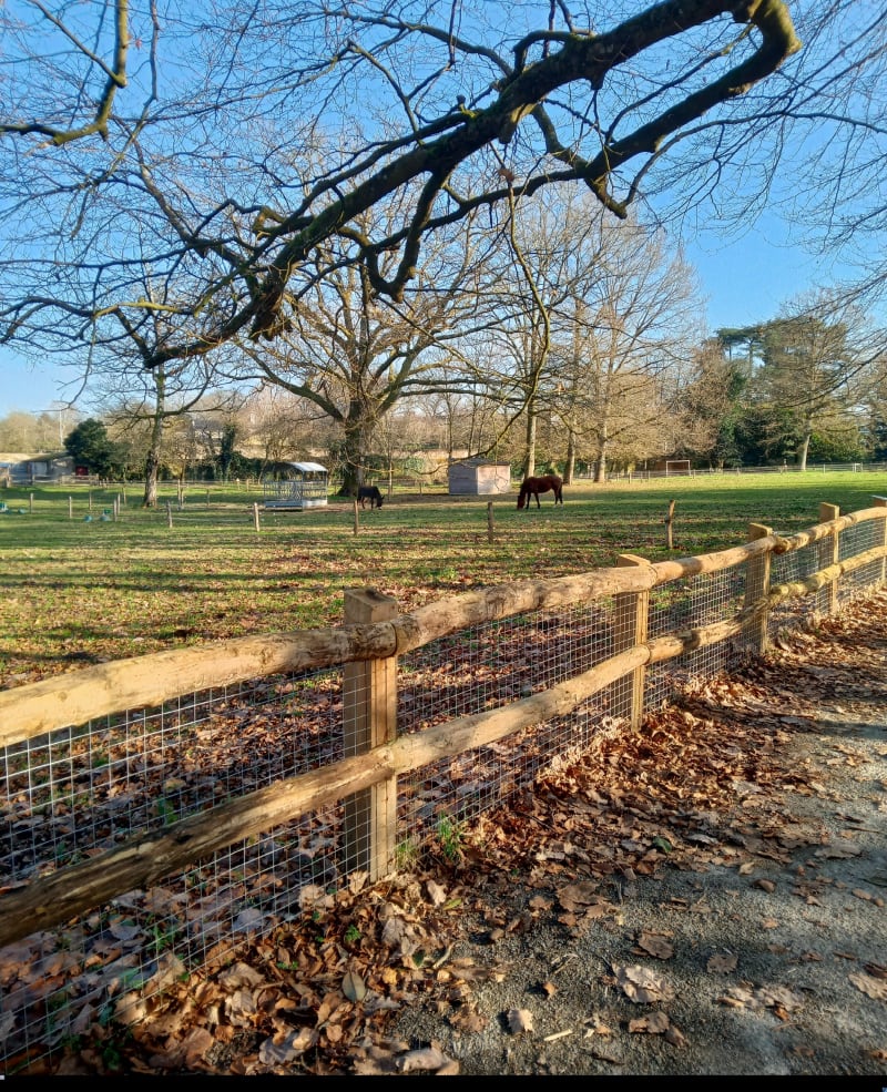 Parc de la Chantrerie - Nantes