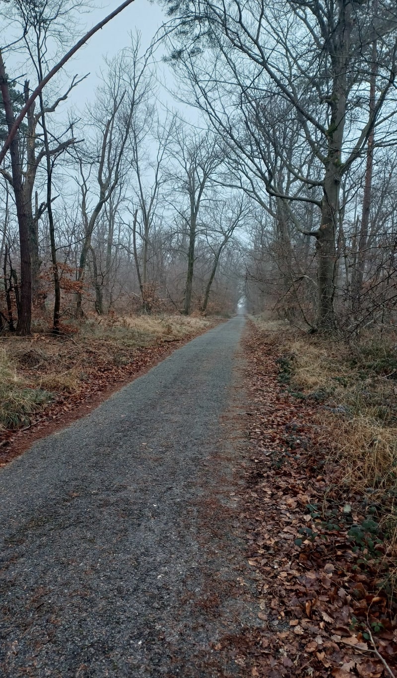 Aglagla dans la forêt de Fontainebleau ! - Bois-le-Roi
