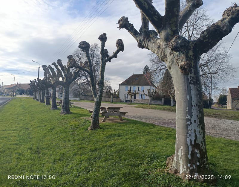 Champs du Finage - Saint-Aubin