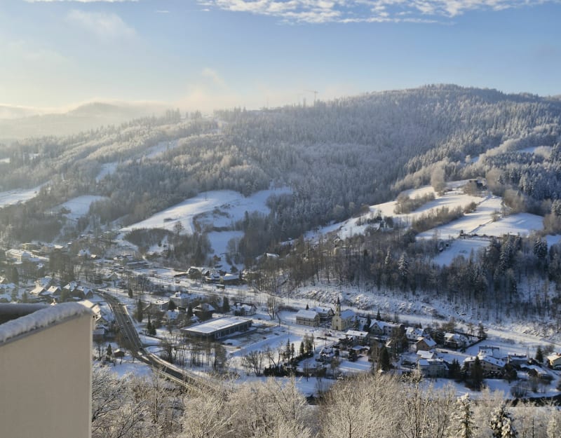 Bukowa z Crystal Mountain - Wisła