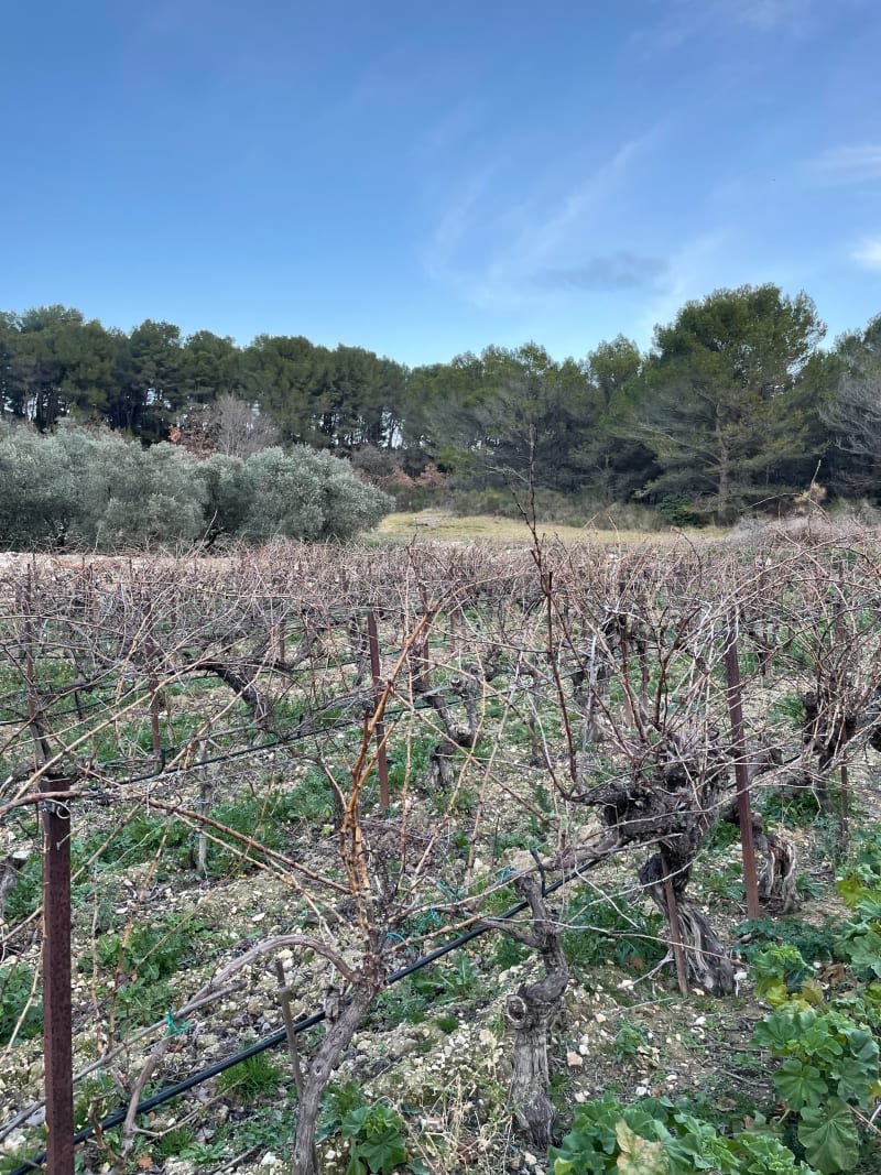 Les Figons à Éguilles dans les bois et vue sur la plaine - Éguilles