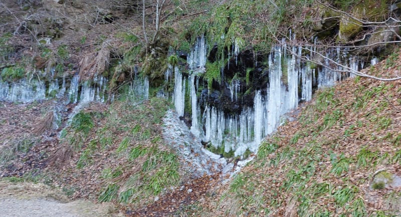 Rando facile autour du Mont-Dore - Mont-Dore