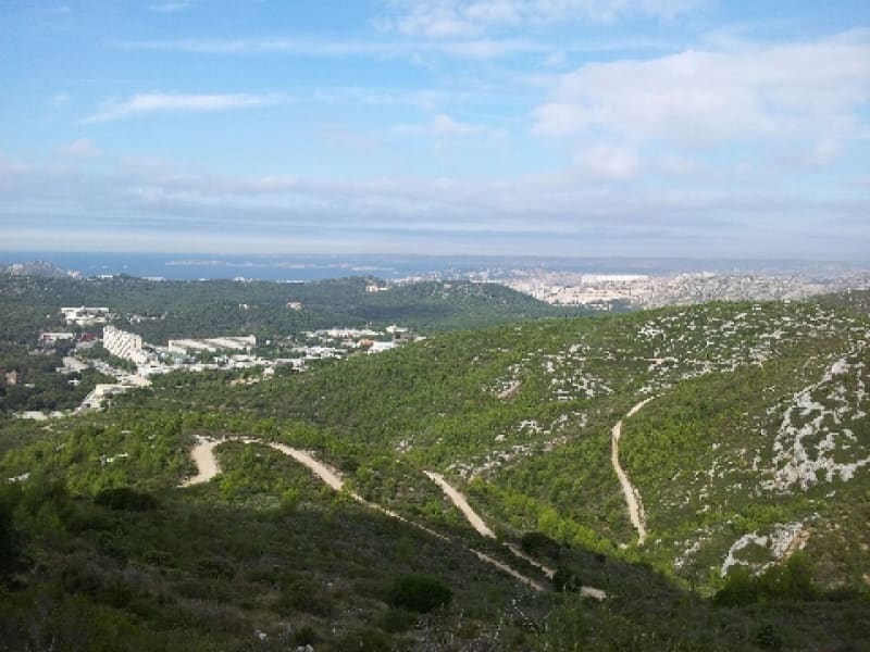 Vallon Ricard - Marseille