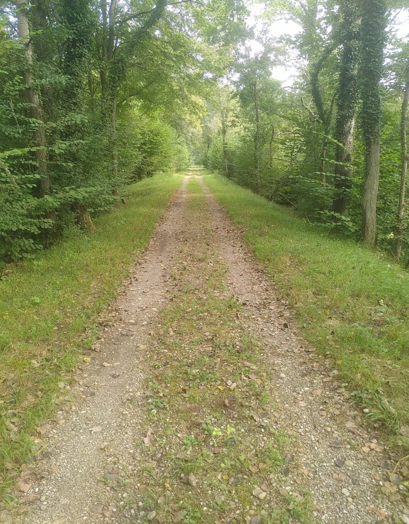 Circuit de Gerstheim à Obenheim par forêt et passerelle - Gerstheim