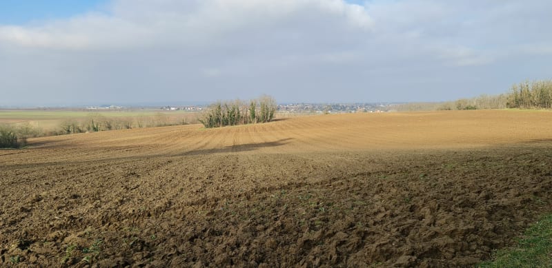 Sur la colline d'Oberhausbergenhill - Oberhausbergen