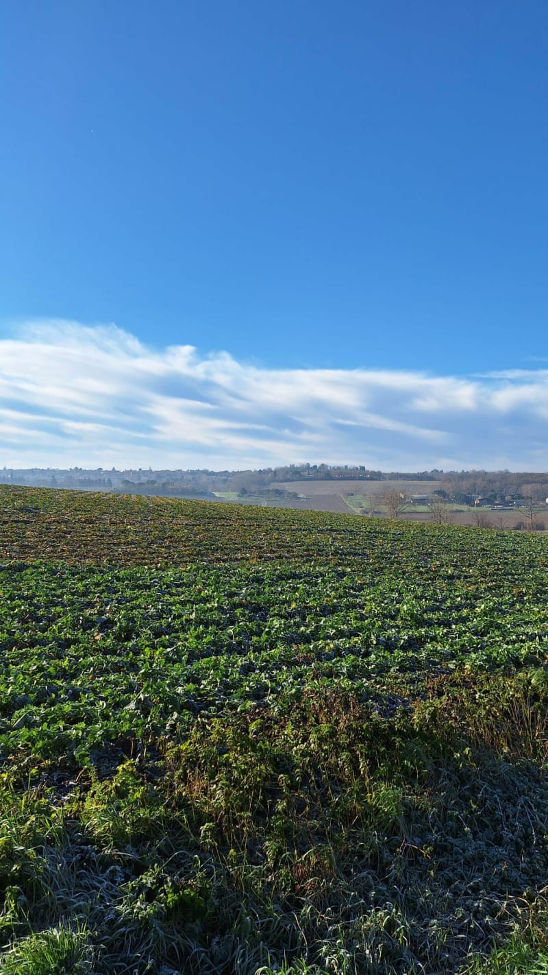 Marche nordique autour de Mons - Mons